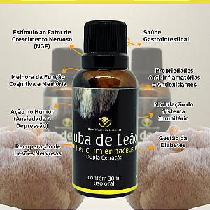Extrato Premium de Juba de Leão (Hericium erinaceus) 30ml