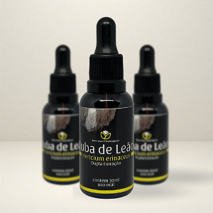 Extrato Premium de Juba de Leão (Hericium erinaceus) 30ml