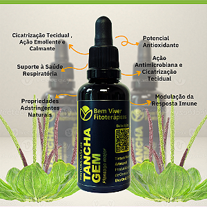 Extrato/Tintura Mãe de Tanchagem (Plantago major) 50ml