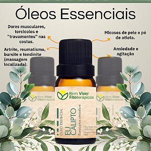 Óleo Essencial de Eucalipto Citriodora (Eucalyptus Citriodora) 10ml