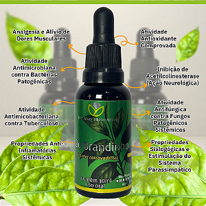 Extrato/Tintura de João Brandinho (Ottonia corcovadensis)