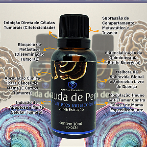 Extrato Premium de Cauda de Peru (Trametes versicolor) 30ml