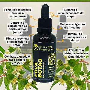 Extrato/Tintura Mãe de Erva Botão (Eclipta prostrata) 50ml