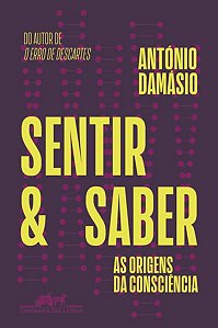 SENTIR E SABER - DAMÁSIO, ANTÓNIO