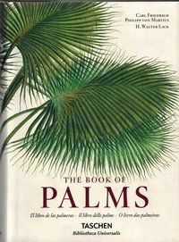 MARTIUS, THE BOOK OF PALMS  - LACK, H. WALTER