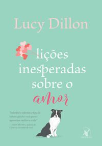 LIÇÕES INESPERADAS SOBRE O AMOR - DILLON, LUCY