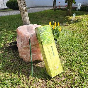 INCENSO de JARDIM - CITRONELA