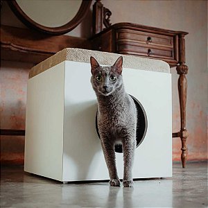 Tapete Para Caixa De Areia Gatos - Queen Cats - Móveis Funcionais