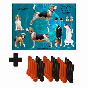 Kit Pet com 15 pares de Imãs Pin.