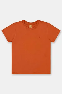 Camiseta Infantil Masculina em Meia Malha (Laranja) Up Baby