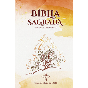 Bíblia Sagrada Iniciação Vida Cristã 6ª Edição