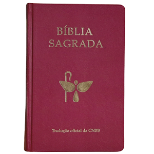 Bíblia Sagrada - Tradução Oficial da CNBB - 6ª Edição - Semiluxo