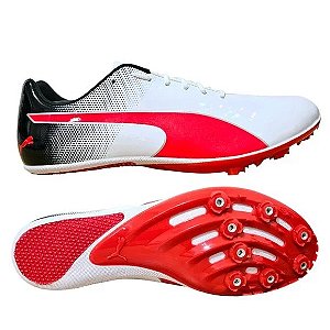 Puma Evospeed Sprint 13 / 14 - velocidade - Brasil