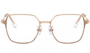 ARMAÇÃO SWAROVSKI METAL SK1020D 4014 53 FEMININO