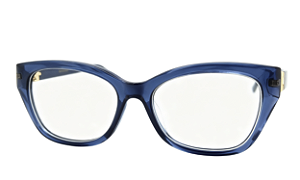 ARMAÇÃO ANA HICKMAN ACACIA 5 D02 53 FEMININO