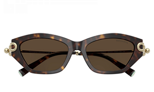 ÓCULOS DE SOL TIFFANY & CO TF4231-U 8015/3G 53 FEMININO