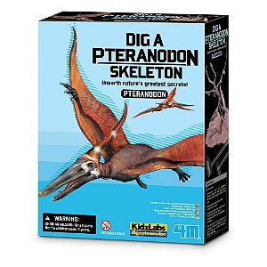 Kit de Escavação Pteranodonte