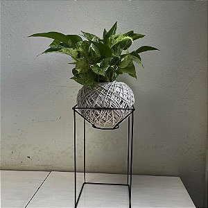 KOKEDAMA DE JIBOIA BRANCA COM SUPORTE