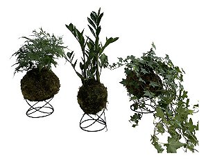 KIT KOKEDAMA MINI ZAMIOCULCA, HERA ESTRELA, RENDA C/ SUPORTE