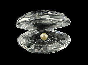 Ostra com  Pérola para Fotos