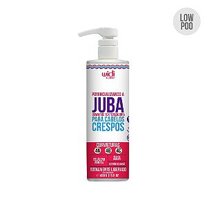 Widi Care Potencializando a Juba Texturizador Condicionante - 480g