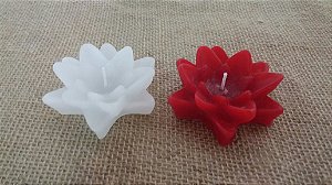Flor de Lótus aberta