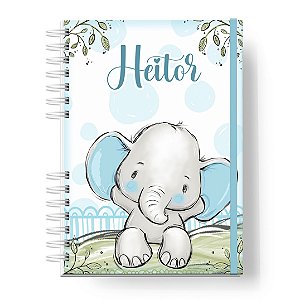 Caderneta de Vacinas: Menino