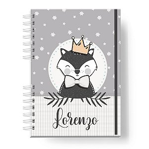 Caderneta de Vacinas: Menino