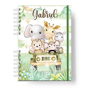 Caderneta de Vacinas: Menino