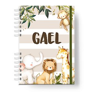 Caderneta de Vacinas: Menino