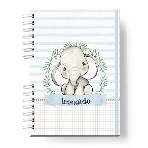 Caderneta de Vacinas: Menino