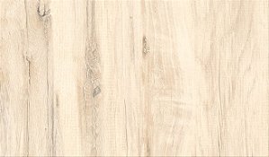 PORCELANATO ALMEIDA ECOTECH MARFIM 61X61