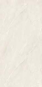 PORCELANATO DAME ACETINADO AR12146