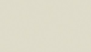 REVESTIMENTO DELTA RT BEIGE 30X60