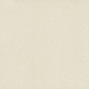 PORCELANATO DELTA REF.IGUACU POL 0.50X1.