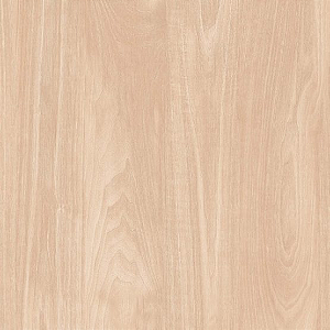 PORCELANATO 62,00 CONFORT 62102