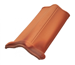CUMEEIRA ALMOFADA 40X18 - MARTINS