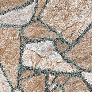 PISO CEDASA HD 1827 58X58