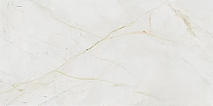 REVESTIMENTO FORMIGRES GRAN POLAR BG RT 60X120
