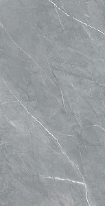 REVESTIMENTO CEDASA OLIMPO POL GRAN 56X113