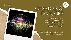 CURSO CHAKRAS SINERGIAS E EMOÇÕES