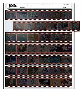 Print File - para guarda de negativos 35mm - Folhas de 7 tiras com 6 quadros - Pac com 5 folhas