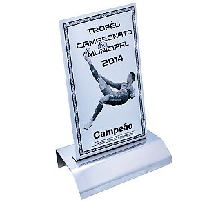 TROFÉU EM INOX 14 x 25 cm