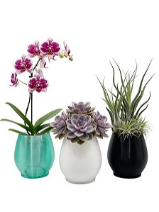 Vaso Para Orquídea Cachepot Decorativo Com Suporte Para Plantas Artificiais e Naturais - Impressão 3D - Alta Qualidade