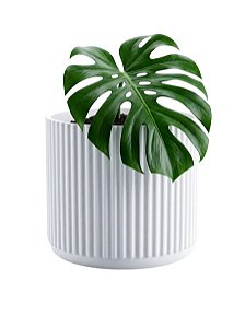 Vaso Decorativo Ondulado Plantas Artificiais e Naturais - 3D - Alta Qualidade 11cm x 13cm