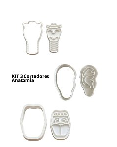 KIT C/ 3 Cortadores Modelo Anatomia - Bola - Laringe - Ouvido - Estudo e Anatomia - FonoComAmor