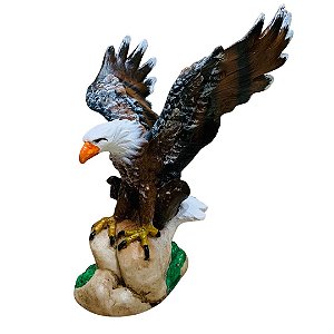 Águia de Asas Abertas Pequena