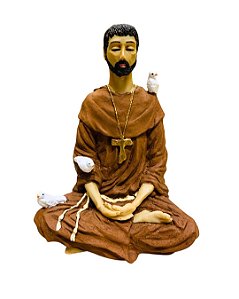 São Francisco de Assis Meditando - Colorido