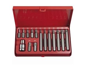 JOGO BITS TIPO TORX - NOLL