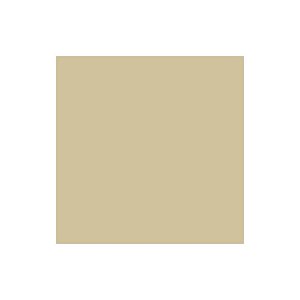 Tiffen Filtro 6.6 x 6.6 81D